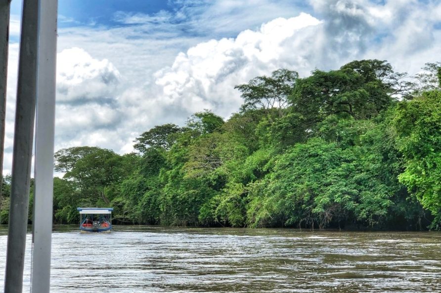 Embark on an Adventure: Palo Verde River Safari Tour in Costa Rica